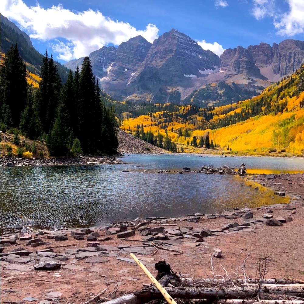 Meet your Posher, Natasha